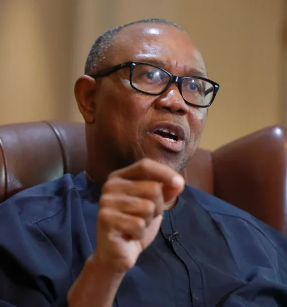 I’m not chasing power, I want Nigeria to function – Peter Obi