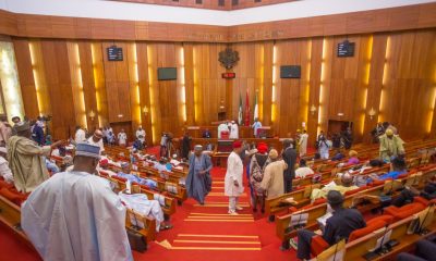 Panic at National Assembly as fire breaks out in Senate wing hearing room