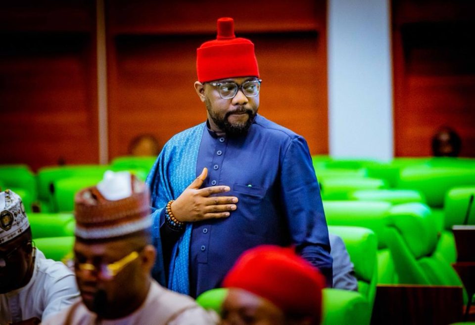 Reps bar first-term lawmakers, block Ugochinyere’s bid for minority leader