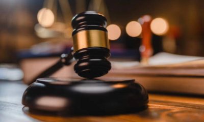 ADC, others win reprieve as Court stays deregistration order