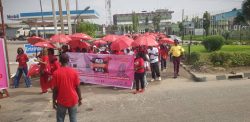 Sickle Cell Day: Coalition Advocates Quality Care, Funding for Curative ResearchSickle Cell Day: Coalition Advocates Quality Care, Funding for Curative Research