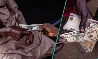 Naira falls to N1,373/$, hits weakest level in four weeks
