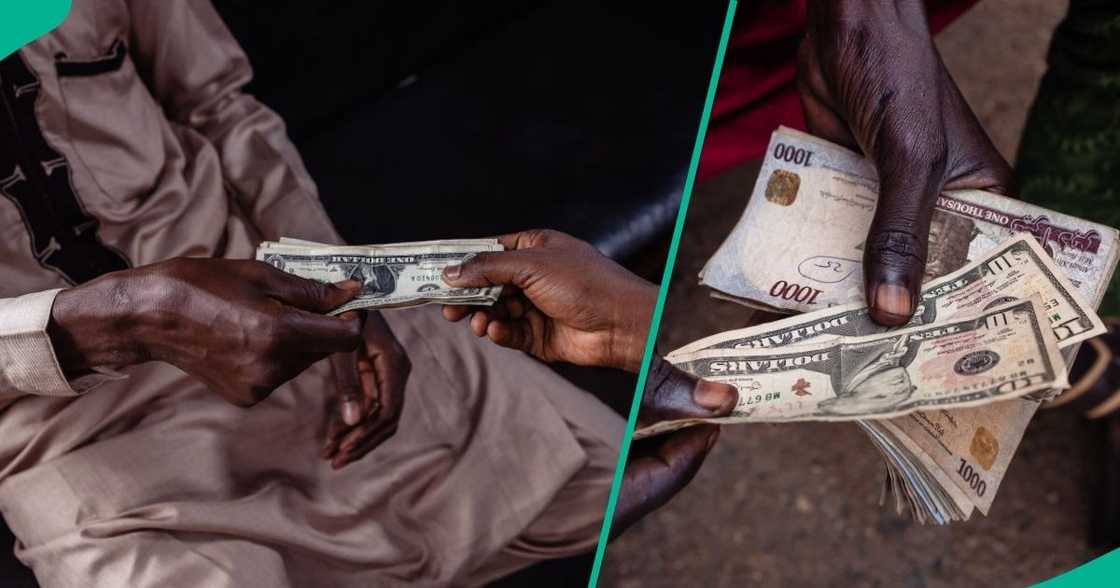 Naira falls to N1,373/$, hits weakest level in four weeks