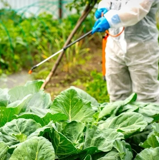 New study links pesticide exposure to higher breast cancer rates