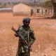 Gunmen ambush, kill 52-year-old man in Plateau, destroy farmlands