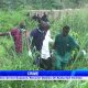 Edo Police recover bodies of kidnap victims after N11m ransom payment