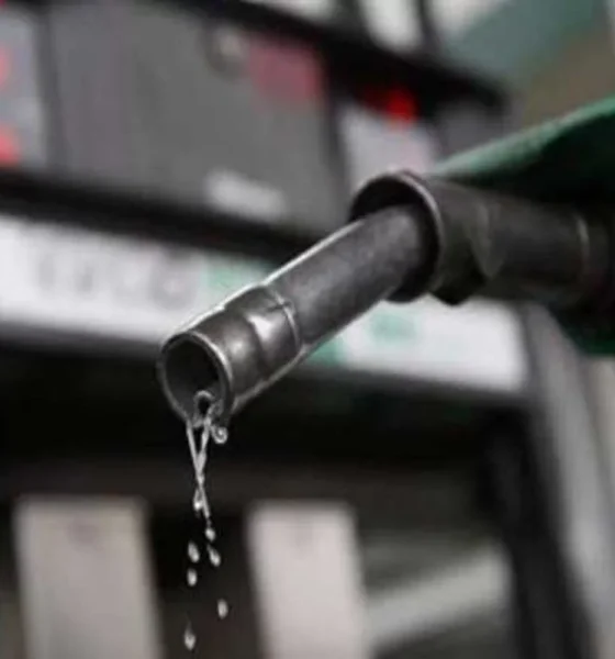 Dangote Refinery slashes petrol price to N1,175/litre as global oil market cools