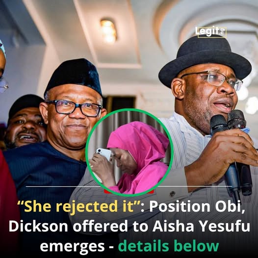 Obi wanted Aisha Yesufu to contest Reps seat, not FCT senate race — NDC Secretary