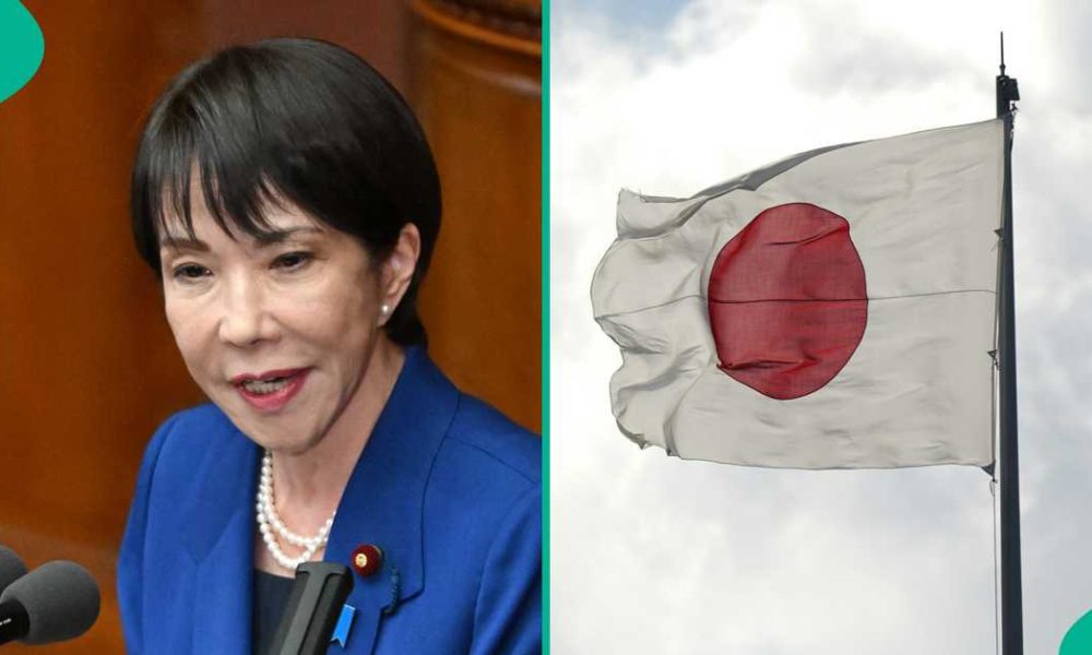 Japan names South Africa as sole African nation eligible for eVisa in 2026