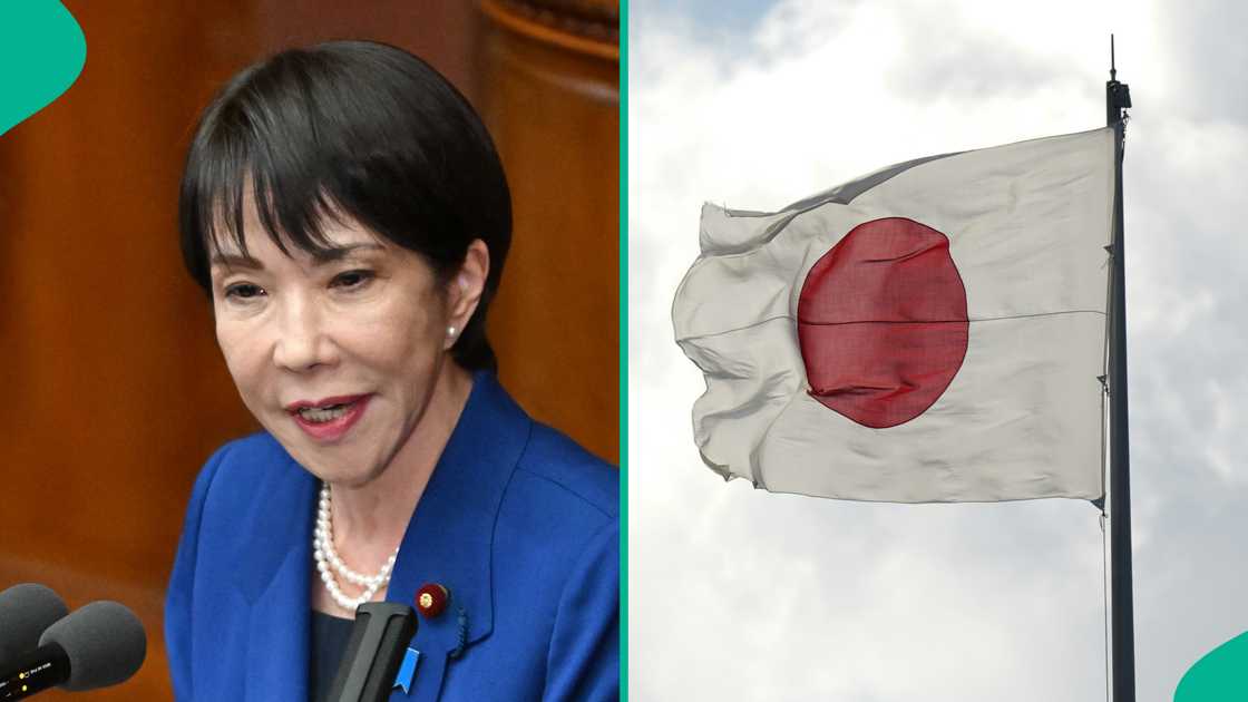 Japan names South Africa as sole African nation eligible for eVisa in 2026