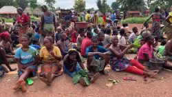 Between fear, official denials: What really happened in Benue's latest attacks