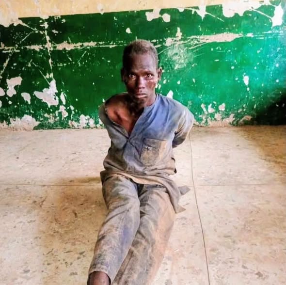 Army repels bandits, rescues 147 rustled livestock in Kano border operation