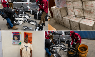 The National Drug Law Enforcement Agency (NDLEA) has recorded a major breakthrough in its ongoing crackdown on drug trafficking, intercepting illicit drugs worth more than N10 billion and arresting several suspected traffickers in a series of intelligence-led operations across Lagos, Kaduna, Katsina, and Edo states. The operations, which also uncovered military-grade ammunition concealed in palm oil kegs, resulted in the arrest of suspected drug kingpins allegedly involved in international cocaine trafficking to the United Kingdom. According to the agency's Director of Media and Advocacy, Femi Babafemi, one of the principal suspects, Onuigbo Ndubisi Chinedu, a 55-year-old clothing dealer at Balogun Market, Lagos Island, was arrested after investigations linked him to a 3.30-kilogram cocaine shipment concealed inside the walls of cartons containing food items meant for export to the United Kingdom through the Murtala Muhammed International Airport (MMIA), Lagos. Babafemi explained that the cocaine consignment was intercepted at the airport's export shed, leading to the arrest of three cargo agents identified as Nkwor Onyekachukwu Justina, Adeleke Abiola Taoheed, and Ukanwa Grace Pilgrim, who handled the shipment. Further investigations led operatives to another suspect, Kenneth Okakpu, who reportedly delivered the consignment to the cargo agents. His arrest eventually exposed Chinedu as the alleged mastermind behind the trafficking network. The NDLEA spokesman disclosed that Chinedu was apprehended while allegedly preparing to ship another cocaine consignment to the UK. In another operation, NDLEA operatives arrested Emmanuella Chukwu-Edo, a 31-year-old entrepreneur, at her residence in Surulere, Lagos, after intercepting a 2.80-kilogram consignment of Canadian Loud, a potent synthetic strain of cannabis. The illicit drug had arrived from the United States aboard a United Airlines flight before it was tracked to the suspect. The anti-narcotics agency also announced the seizure of 2.24 million pills of Tapentadol 250mg, an opioid valued at over N2.2 billion, during a joint examination of cargo imported from India aboard an Air Maroc flight at the Lagos airport. Babafemi said the interception followed credible intelligence processed by the agency. In a related operation, NDLEA officers also intercepted a shipment of tramadol hidden inside containers of black soap at a Lagos courier company while it was being prepared for export to the United Kingdom. At the Apapa Seaport, operatives uncovered 4,777 sachets of Canadian Loud weighing 2,388.5 kilograms, concealed inside three imported vehicles. The agency estimated the street value of the seized drugs at over N7.1 billion, describing it as one of the largest cannabis seizures recorded at the port. Beyond drug-related operations, NDLEA operatives intercepted military-grade ammunition during separate operations in northern Nigeria. Babafemi said Mustapha Sani, 30, was arrested during a patrol at Baure in Safana Local Government Area of Katsina State with 323 rounds of military-grade ammunition, comprising 200 rounds of 7.62mm ammunition and 123 rounds of 7.6mm ammunition. In another operation, Abubakar Amadu, also 30, was arrested during a stop-and-search exercise at Jere along the Abuja-Kaduna Expressway after officers discovered 73 rounds of 7.62mm ammunition concealed inside kegs of red palm oil. He said both suspects had been transferred to the appropriate security agency for further investigation. In Edo State, NDLEA operatives raided a warehouse in Ilushi community, Esan South-East Local Government Area, where they recovered 1,286 kilograms of cannabis and 86 kilograms of cannabis seeds. The operation also led to the arrest of Ojore Onweze, 45, and George Agwumede, 30, who were allegedly found with 60 kilograms and 13 kilograms of skunk, respectively. Babafemi noted that the agency continued its War Against Drug Abuse (WADA) advocacy campaign with sensitisation programmes conducted in schools and communities across Niger, Kano, and Lagos states. Reacting to the successful operations, NDLEA Chairman and Chief Executive Officer, Brig. Gen. Mohamed Buba Marwa (retd.), commended officers of the Directorate of Operations and General Investigation (DOGI) as well as personnel of the MMIA, Apapa, Edo, Kaduna, and Katsina Commands for their efforts. Marwa urged officers nationwide to remain committed to the agency's strategy of combining aggressive drug supply reduction with sustained public awareness campaigns aimed at curbing drug abuse across the country.