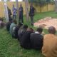 Edo Police parade 77 crime suspects, rescue 38 kidnap victims