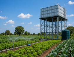 Strengthening Nigeria’s Food Production Through Reliable Water Storage Infrastructure