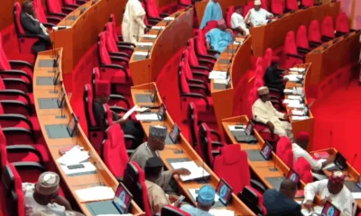 Fresh twist in PFIPC saga as Senate moves to address N1.3bn budget controversy