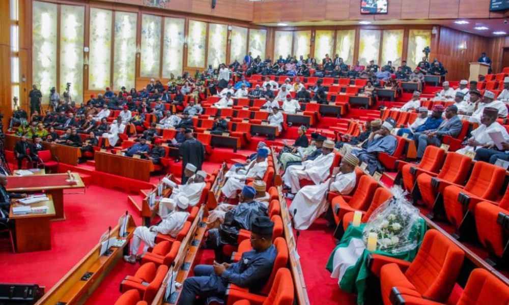 Senate denies inserting budget for fake presidential agency, says matter before Court