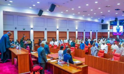Senate confirms Fasina as ambassador after heated debate over alleged sexual misconduct
