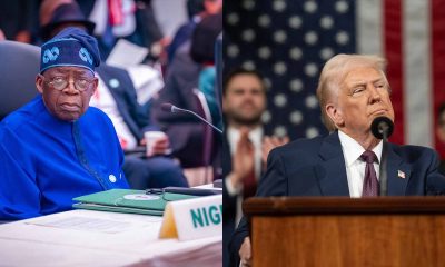 How Trump-Tinubu security alliance could redefine the War against terror in West Africa