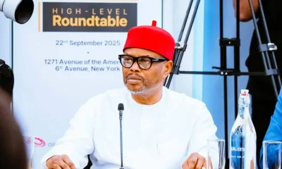 Ex-Science Minister Uche Nnaji arrested at Enugu Airport, set for ICPC interrogation
