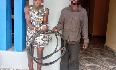 Operation Kosaye yields major breakthrough as Ogun Police nab 16 suspects