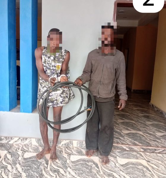 Operation Kosaye yields major breakthrough as Ogun Police nab 16 suspects