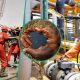 Projected drop in oil prices threatens Nigeria's 2026 budget plans