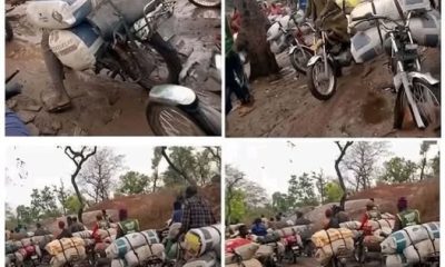 Alleged illegal lithium mining in Oyo National Park sparks security, economic concerns