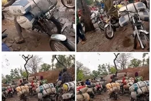 Alleged illegal lithium mining in Oyo National Park sparks security, economic concerns