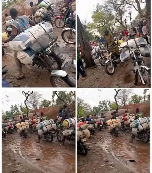Alleged illegal lithium mining in Oyo National Park sparks security, economic concerns