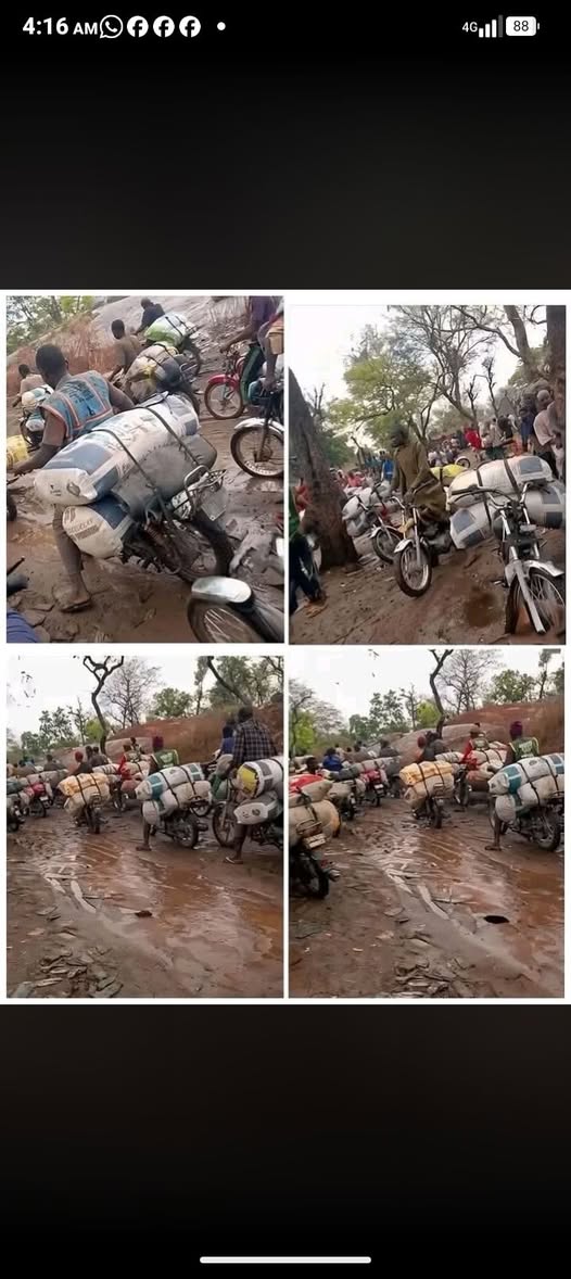 Alleged illegal lithium mining in Oyo National Park sparks security, economic concerns