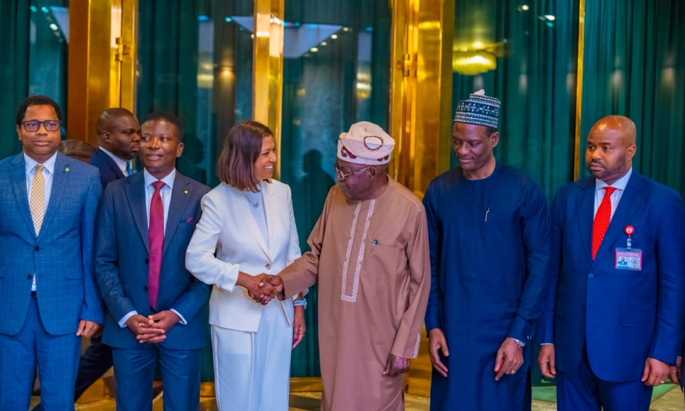 Tinubu seeks deeper Deloitte partnership as firm backs Nigeria's economic reforms
