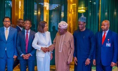 Tinubu seeks deeper Deloitte partnership as firm backs Nigeria's economic reforms
