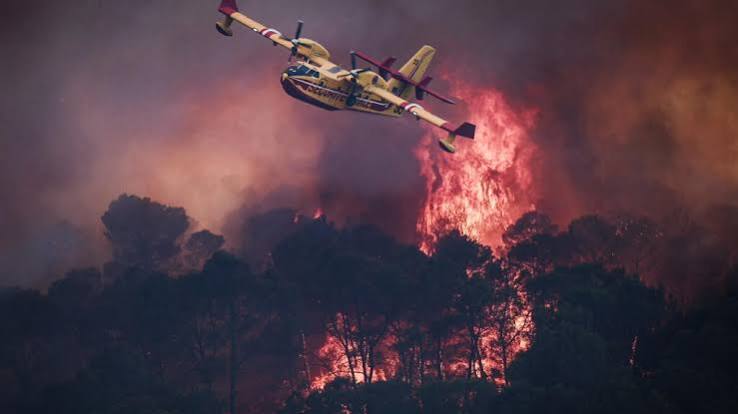 Hundreds of thousands evacuate as deadly wildfires sweep across Southern Europe