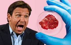 Lab-grown meat sparks global policy battle as nations take opposing sides