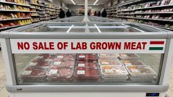 Lab-grown meat sparks global policy battle as nations take opposing sides