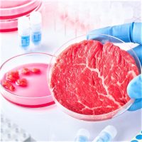 Lab-grown meat sparks global policy battle as nations take opposing sides