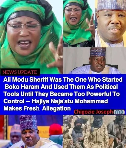 Ex-Presidential aide reignites controversy over Ali Modu Sheriff's alleged Boko Haram links