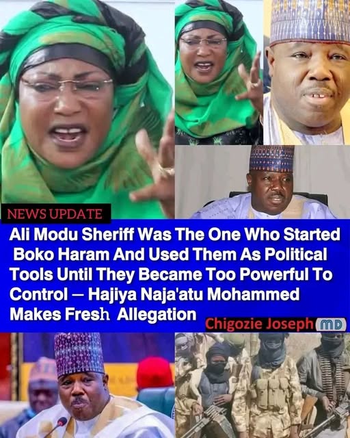 Ex-Presidential aide reignites controversy over Ali Modu Sheriff's alleged Boko Haram links