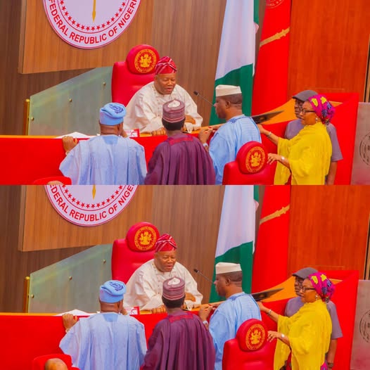 Breaking: Senate passes Bill to establish agency for managing recovered criminal assets