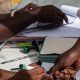 INEC extends nationwide voter registration by two weeks, introduces online self-service registration