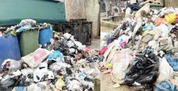 Rising interest rates trigger first consumer credit decline since 2019 By Segun Odunewu, Lagos Nigeria's consumer credit market recorded its first contraction in more than five years as outstanding consumer loans fell by 19.89 percent to N3.78 trillion in 2025 from N4.72 trillion in 2024, according to the Central Bank of Nigeria (CBN). The decline, contained in the apex bank's 2025 Annual Report and Statement of Accounts, marks the first drop in consumer credit since December 2019 and reflects the impact of the country's prolonged high-interest-rate environment on household borrowing. The CBN attributed the decline to rising borrowing costs and changes in banks' lending patterns, which discouraged personal borrowing while encouraging a shift toward retail lending. According to the report, personal loans fell sharply to N1.85 trillion, driving the overall contraction in consumer credit. However, retail loans bucked the trend, surging by 63.77 percent to N1.94 trillion, making up 51.16 percent of total consumer credit for the first time in several years, while personal loans accounted for 48.84 percent. The apex bank also disclosed that consumer credit's share of total credit extended to the private sector by other depository corporations declined to 6.60 percent in 2025 from 7.98 percent recorded in the previous year. "Consumer credit outstanding moderated in response to the dynamic interest rate environment. Consumer credit outstanding fell by 19.89 per cent to N3,783.40 billion in 2025 from N4,722.93 billion in the preceding period. The fall was the first since December 2019," the CBN stated. The report further showed that short-term credit remained the largest component of banks' asset portfolios, accounting for 51.60 percent, although its share declined by 7.71 percentage points during the year. Meanwhile, medium-term deposits increased to 5.15 percent, while long-term deposits declined sharply to 3.85 percent from 7.28 percent. Latest CBN data show that credit to the private sector rose to N83.26 trillion in June 2026 from N81.04 trillion in May, representing a 9 percent year-on-year increase from N76.13 trillion recorded in June 2025. The increase comes despite the Monetary Policy Committee's decision to retain the benchmark Monetary Policy Rate (MPR) at 26.5 percent, one of the highest levels in recent years. Financial analysts say the decline in consumer credit reflects the impact of tight monetary policy on household finances. Chief Executive Officer of the Centre for the Promotion of Private Enterprise (CPPE), Dr. Muda Yusuf, said elevated interest rates have significantly reduced consumers' appetite for borrowing. According to him, the high cost of credit has made personal loans increasingly unaffordable, forcing households to postpone discretionary spending and rely more on essential retail financing. He noted that while the CBN's tight monetary stance is aimed at curbing inflation and stabilising the naira, it has also constrained consumer demand and weakened credit growth in the retail economy. Similarly, Managing Director of Optimus by Afrinvest, Ayodeji Ebo, said banks have become more cautious in extending unsecured personal loans amid higher default risks and elevated funding costs. He explained that financial institutions are increasingly prioritising lending segments with stronger repayment structures and lower credit risk, which partly explains the rise in retail loans relative to personal loans. Economic analysts also believe the gradual increase in long-term credit suggests banks are selectively financing productive sectors capable of generating sustainable returns despite prevailing macroeconomic headwinds. 777777777777777777777777777777777777777777777777777777777777777777777777777777777777777777777777777777777777777777777777777777777 Capital imports, non-oil exports lift Nigeria's forex inflows to $109.9bn--CBN By Segun Odunewu, Lagos Nigeria recorded a significant increase in foreign exchange (FX) inflows in 2025, with total receipts rising to $109.86 billion, representing a 13.81 percent increase from $96.53 billion recorded in 2024, according to the Central Bank of Nigeria (CBN). The figures, contained in the apex bank's 2025 Annual Report and Statement of Accounts, showed that stronger autonomous foreign exchange inflows—particularly from non-oil exports and capital importation—were the major drivers of the improvement. The CBN disclosed that total forex outflows also increased during the period, rising by 27.83 percent to $49.05 billion from $38.37 billion in 2024. Despite the increase in outflows, Nigeria maintained a positive external position, posting a net forex inflow of $60.81 billion, slightly higher than the $58.16 billion recorded in the previous year. According to the report, autonomous sources accounted for 64.21 percent of total forex inflows, underscoring the growing role of market-driven foreign exchange sources in supporting liquidity. Autonomous forex inflows climbed by 25.12 percent to $70.54 billion from $56.38 billion in 2024, while inflows through the CBN declined marginally. "Forex inflow through the Bank decreased by 2.08 per cent to US$39.32 billion and accounted for 35.8 per cent of total inflow," the apex bank stated. The CBN attributed the decline in official inflows primarily to lower receipts from government debt and foreign exchange swap transactions. It noted that the increase in autonomous inflows was largely driven by improved non-oil export earnings, over-the-counter foreign exchange purchases and stronger capital importation. The economy recorded a net inflow of $54.28 billion through autonomous channels, compared with $50.24 billion in 2024, while the CBN generated a net inflow of $6.52 billion. Outflows through the CBN increased marginally by 1.74 percent to $32.79 billion, while autonomous outflows surged by 164.84 percent to $16.26 billion. Total forex utilisation rose by 59.36 percent to $42.83 billion, compared with $26.88 billion recorded in 2024, largely driven by increased invisible imports. Visible imports accounted for $18.76 billion, representing 43.8 percent of total forex utilisation. The industrial sector accounted for the largest share of visible import-related foreign exchange demand at 42.11 percent, followed by the oil sector with 25.91 percent, manufactured products at 15.64 percent, and food imports at 10.51 percent. Economic analysts say the latest figures indicate that Nigeria is gradually reducing its dependence on official foreign exchange sources, although sustaining the momentum will require continued structural reforms. Chief Executive Officer of the Centre for the Promotion of Private Enterprise (CPPE), Dr. Muda Yusuf, said the growing contribution of autonomous inflows reflects renewed investor confidence and stronger non-oil foreign exchange earnings. According to him, increased capital importation and export diversification are encouraging developments that could help improve forex market liquidity and reduce pressure on the naira over time. He, however, cautioned that maintaining the trend would depend on policy consistency, macroeconomic stability and continued improvements in the investment climate. Similarly, Managing Director of Optimus by Afrinvest, Ayodeji Ebo, said the rise in autonomous inflows demonstrates that recent foreign exchange market reforms are beginning to attract private capital back into the economy. He noted that while higher inflows are positive for external reserves and exchange rate stability, the sharp increase in forex utilisation also points to sustained demand for foreign exchange by businesses and manufacturers. 77777777777777777777777777777777777777777777777777777777777777777777777777777777777777777777777777777777777777777777 CBN fines Banks N430m over customer complaint delays, regulatory breaches By Segun Odunewu, Lagos The Central Bank of Nigeria (CBN) imposed N430 million in penalties on financial institutions in 2025 for delays in resolving customer complaints and failure to comply with regulatory directives, signaling a tougher enforcement approach to consumer protection in the banking sector. The sanctions were disclosed in the apex bank's 2025 Annual Report and Statement of Accounts, which revealed that 21 penalties were issued against financial institutions for infractions related to complaints management. According to the report, the affected institutions were sanctioned for "delays in resolving customer complaints to failure to comply with the Bank's directives." "The Bank imposed 21 penalties on financial institutions to the tune of N430.00 million, for infractions ranging from delays in resolving customer complaints to failure to comply with the Bank's directives," the report stated. The report showed that the regulator received 23,129 consumer complaints in 2025, representing a 10.53 percent increase from the 20,925 complaints recorded in 2024. The apex bank attributed the rise not to worsening banking services but to increased public awareness and growing confidence in its consumer complaint resolution mechanism. "The trend reflected increased awareness and improved confidence in the Bank's consumer complaint resolution process," the CBN noted. The regulator also reported improvements in complaint resolution, stating that 18,824 complaints were successfully resolved in 2025, up 9.36 percent from 17,213 cases resolved in the previous year. Claims denominated in naira increased to N40.61 billion from N17.13 billion in 2024, while foreign currency claims surged to $344.2 million, compared with $1.06 million recorded a year earlier. As a result of the complaint resolution process, customers recovered N19.12 billion and $329.3 million in refunds during the year, more than double the N9.66 billion and $670,000 refunded in 2024. In addition to the consumer protection sanctions, the CBN disclosed that it imposed 11 separate penalties worth N1.26 billion on financial institutions for broader regulatory violations and failure to respond to supervisory queries. The latest report follows recent remarks by CBN Governor Olayemi Cardoso, who disclosed that the apex bank and deposit money banks are reviewing excessive transaction alerts and multiple customer charges following widespread complaints by bank customers. Cardoso also announced the establishment of a quarterly engagement platform involving the CBN, commercial banks and leading microfinance banks to improve the resolution of customer complaints and strengthen consumer confidence in the financial system. Chief Executive Officer of the Centre for the Promotion of Private Enterprise (CPPE), Dr. Muda Yusuf, said imposing penalties on banks that fail to resolve customer complaints promptly sends a strong signal that consumer protection is becoming a regulatory priority. According to him, effective dispute resolution is essential to maintaining public trust in the financial system, particularly as digital banking transactions continue to grow rapidly. He added that while the increase in complaints may appear concerning, it also reflects greater public awareness of available redress mechanisms and improved confidence in the CBN's consumer protection framework.