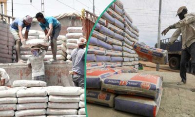 FCCPC probes possible manipulation of Cement prices as costs hit N15,000 per bag