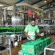 Despite tough economy, Nigerians spend N1.41tn on beer, spirits