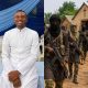 Gunmen invade Enugu Catholic Church, abduct seminarian, worshipper during Sunday Mass