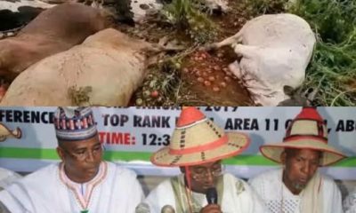 MACBAN claims toxic crops killing cattle, raising fresh farmer-herder concerns