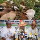 MACBAN claims toxic crops killing cattle, raising fresh farmer-herder concerns