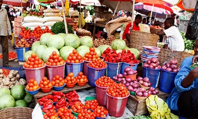 Inflation alls, but food prices keep rising — Economists explain why