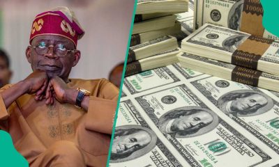 Nigeria’s debt trap deepens as domestic debt service hits N3.14trn in 3 months