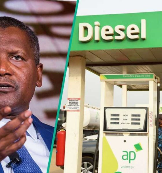 Dangote Refinery hikes diesel price amid rising global oil prices